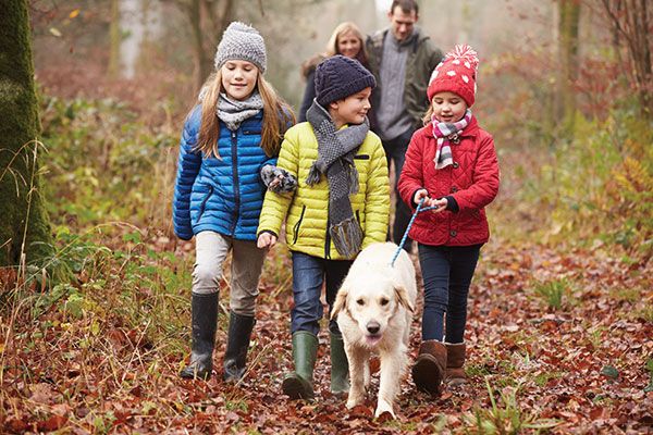 family walking dog together in the woods 