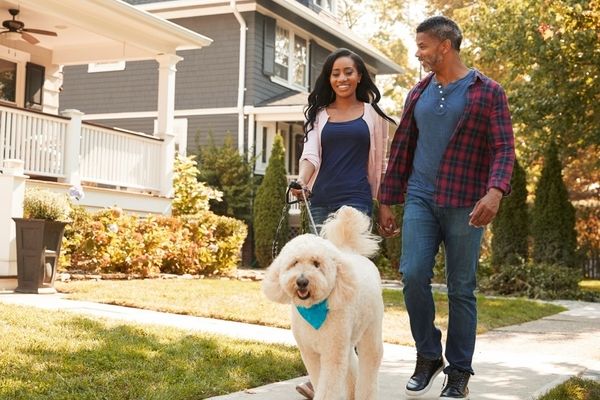 couple walking dog